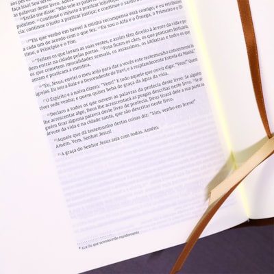 image_65dd9786-494e-4981-b4ce-4d99e73b3675