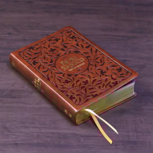 Segunda imagem do produto Bíblia Bible Journaling | NVI | Letra Normal | Courosoft Marrom 