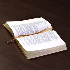 Bíblia Bible Journaling | NVI | Letra Normal | Courosoft Marrom