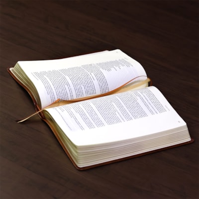 image_30e81bd7-934f-417c-9976-fde2f7ccb1e8