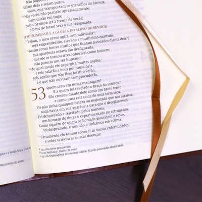 image_92d8b382-31ed-4dfa-ac41-2a9b38208d0c