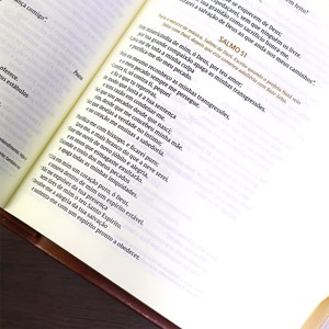 Bíblia Bible Journaling | NVI | Letra Normal | Courosoft Marrom