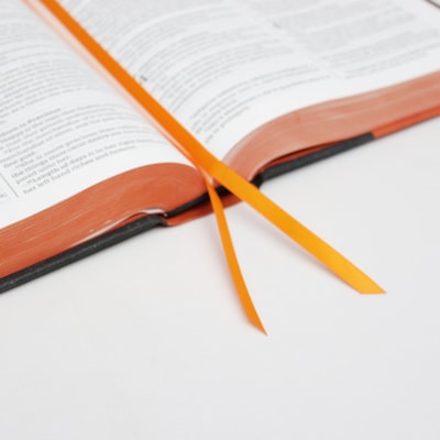 image_d5a56871-4dae-4ca6-a0f6-c0984d0fd59a