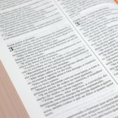 image_7ee62cab-88e4-41d5-ba10-609f415257ab