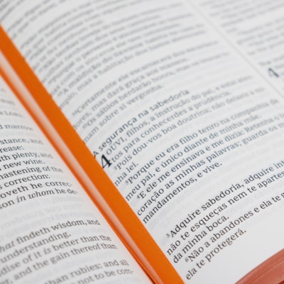 image_f2d36f12-95c1-46cc-aa00-2c30c31366fa