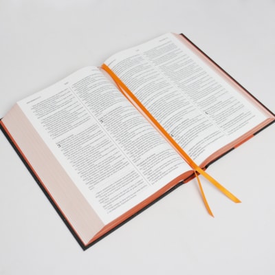 image_9da26274-7e38-4693-a8e0-4205acd69352