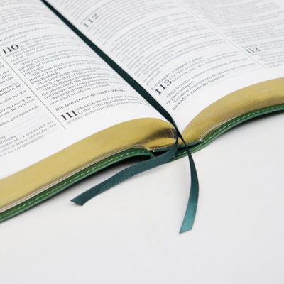 image_b0737f0e-5169-496e-accc-3f5922c35161