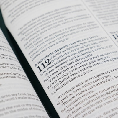 image_86646c64-aa43-4851-a4ed-3d502b770f9d