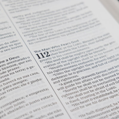 image_aee7095c-3177-4bd5-8d2f-39cf6522be71