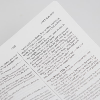 image_34bacdc0-782b-4581-aa07-a1634a4e0ddc