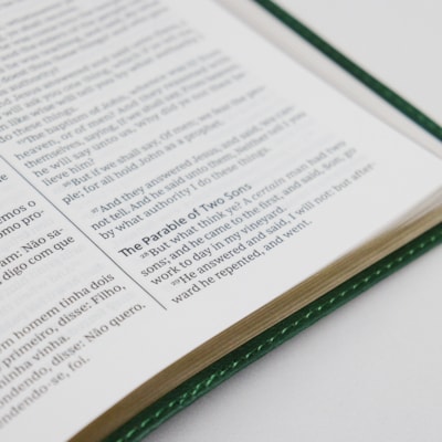 image_67ec830f-aa55-469e-813d-1441614613de