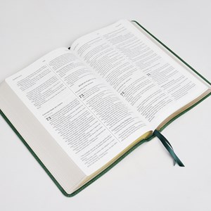 Bíblia Bilíngue | Português e Inglês | ACF | KJV | Leitura Perfeita | Couro Soft Verde
