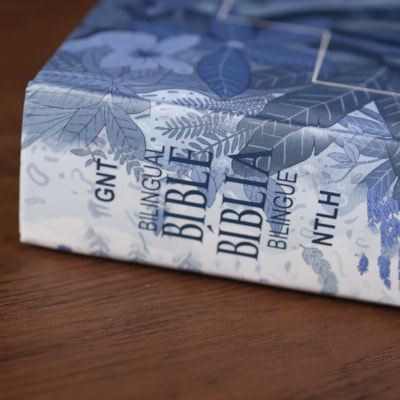 image_55d5420b-7f71-4f87-bdb0-192ed87bc4f9