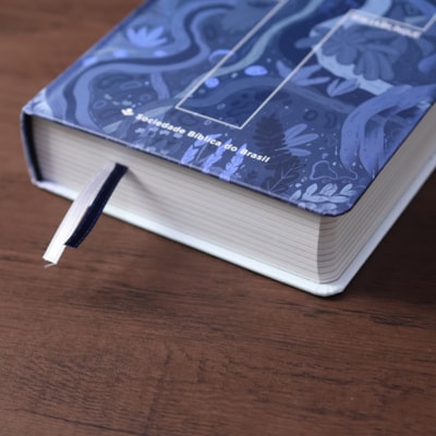 image_b53bb995-9295-42ae-bf72-c4b2187923d4