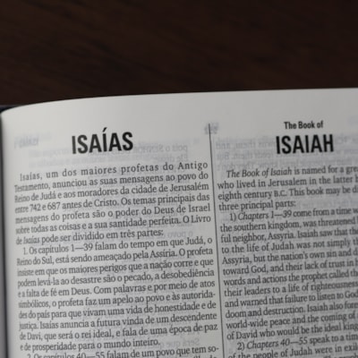 image_13fa868b-530b-44c0-a747-85e0c313ac1b