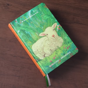 Segunda imagem do produto Bíblia Bilíngue | Português e Inglês | Edição Para Jovens | NTLH | Capa Dura Ovelha