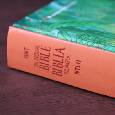 image_8f23b852-9776-423e-93ca-0ea7db7d4053