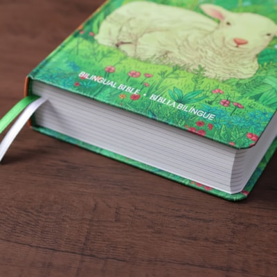 image_f1fd8033-0d52-45a5-b4ae-2f0918e6b5f5