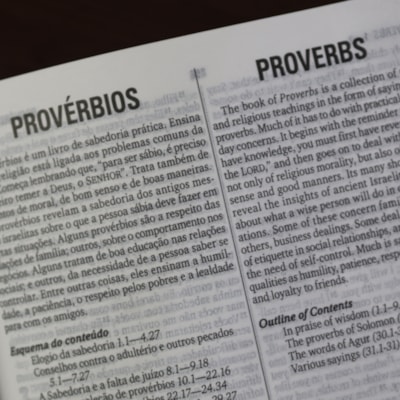 image_978b5ed8-ea60-42c3-b7fa-dbccd99d3b47