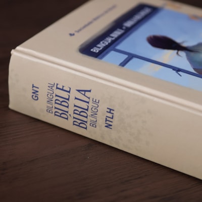 image_290d5837-7574-4aa9-940e-baa1193b66d1