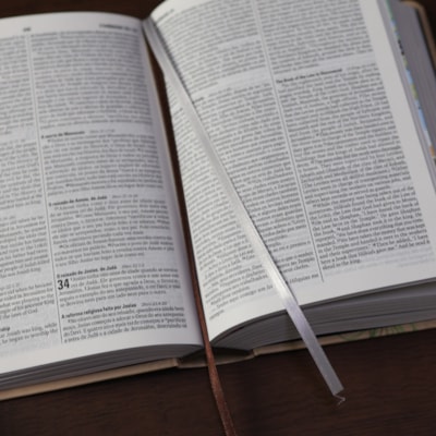 image_7e115357-6d2a-4c14-9c22-7eec5baf0f2f