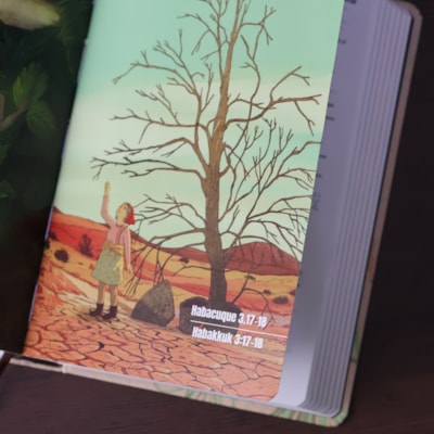 image_d2a2aebc-fe6e-45d2-8dcc-ee40f372c9b3