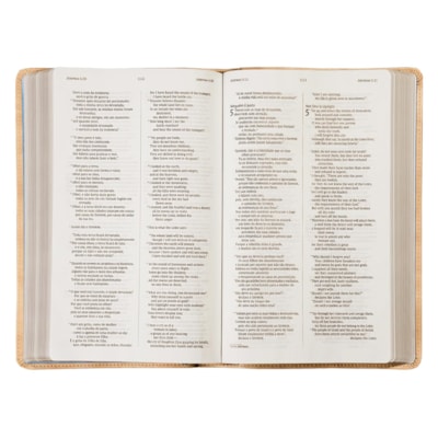 image_30d22702-5183-4de3-a04a-dcfe9eaa676c