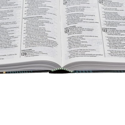 image_be288b03-6931-4fd9-81aa-20ea5d0a891f