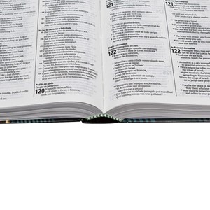 Bíblia Bilíngue Português/Inglês | Letra Normal | NTLH | Capa Ilustrada Popular