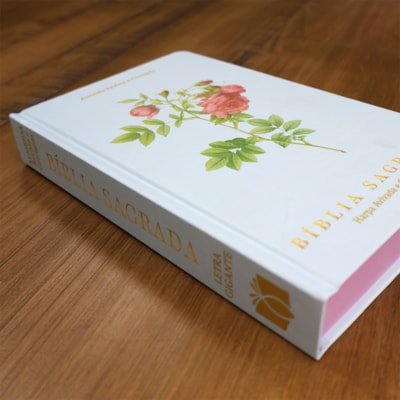 image_c69d187f-589f-4b7d-93c7-20c747b4cdd9