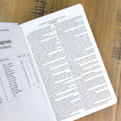 image_91a267a6-6315-4b68-901e-1e2a75f7135f