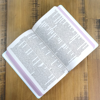 image_29bc21f1-d122-48ba-b06c-939ae200a31d