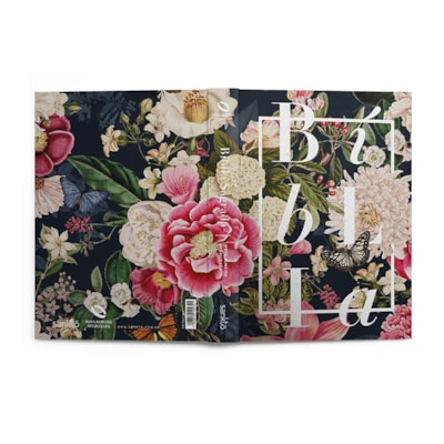 image_4438e4ff-9436-47e3-923b-a1c410c9d17a