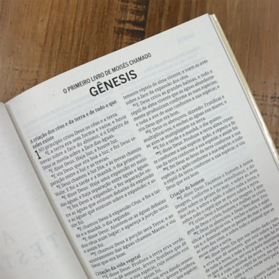 image_9469f5e5-53f1-4634-acad-621bd12124c2