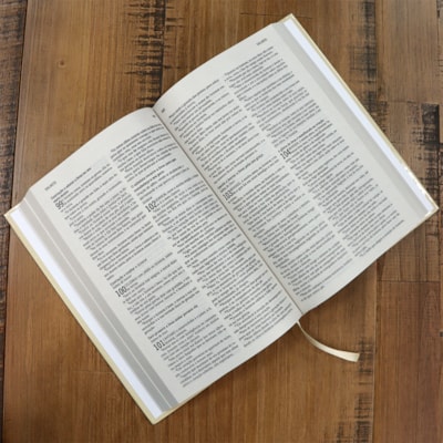 image_175f7eab-0ad3-42bd-9ad4-1aea674dd21b