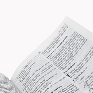 Bíblia Buque Rosa | NAA | Letra Normal | Capa Dura