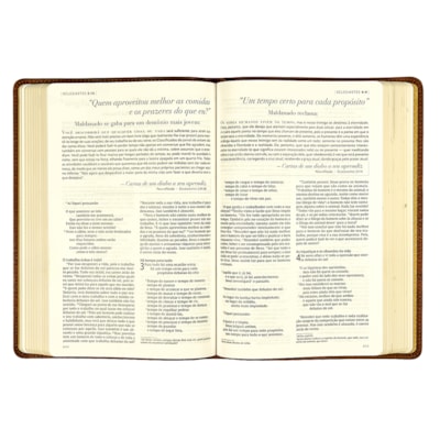 image_d815c1b9-e832-4826-99f8-6acdd25e7efd