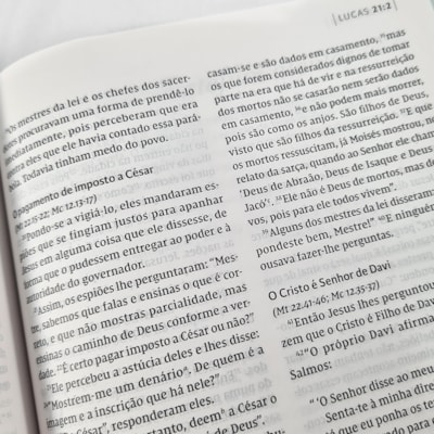 image_5365464a-9370-4a51-abe4-ceddf62a3638