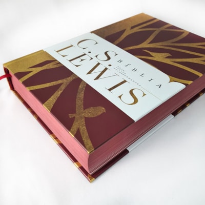 image_afa265c7-46df-47e7-ba53-d2a1c9f87b26