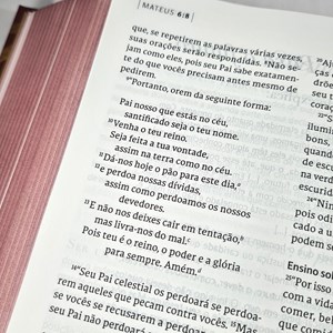 Bíblia C. S. Lewis | NVT | Leitura Perfeita | Capa Dura Vermelho e Dourado