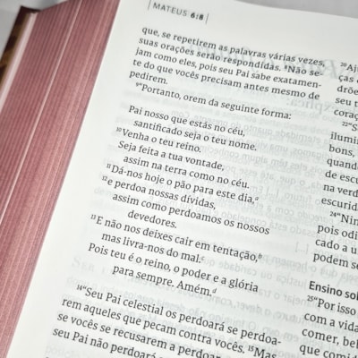 image_d97cc265-da55-423c-9261-6484ba441708