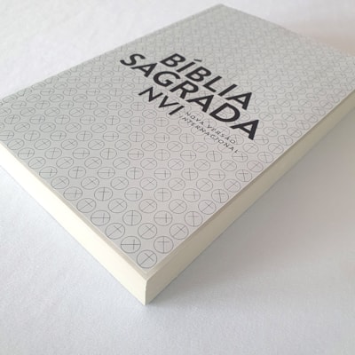 image_dfd3259d-8d3c-441f-952e-429b30a6faa5