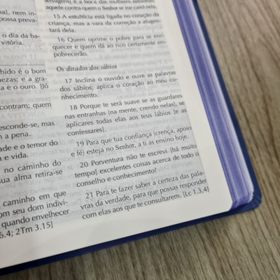 image_9babf3a9-a600-457f-8318-58e9a113411c