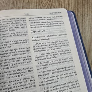 Bíblia Campo de Batalha da Mente | NVA | Letra Normal | Capa Luxo Azul