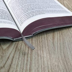 Bíblia Campo de Batalha da Mente | NVA | Letra Normal | Capa Luxo Cinza