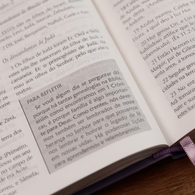 image_bd5e2469-bd23-4d1d-8d2c-54885dcf5d3a