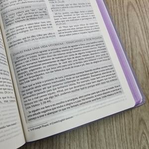 Bíblia Campo de Batalha da Mente | NVA | Letra Normal | Capa Luxo Lilás