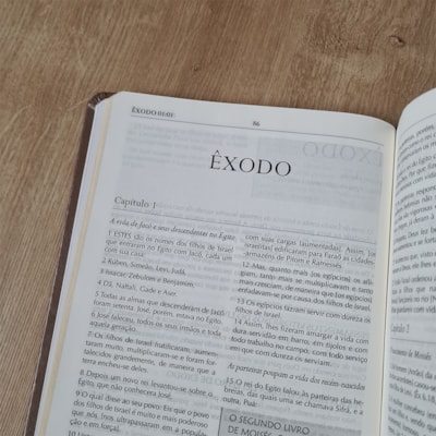 image_e2024c5a-e037-46b3-a78a-fb028f31ec67