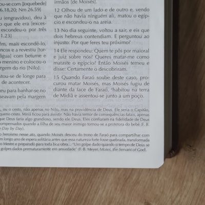 image_5488b188-cb58-42be-8806-4988050dca1b