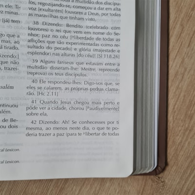 image_074c6dfd-493d-4cb3-b7c1-052a92cb1f0e